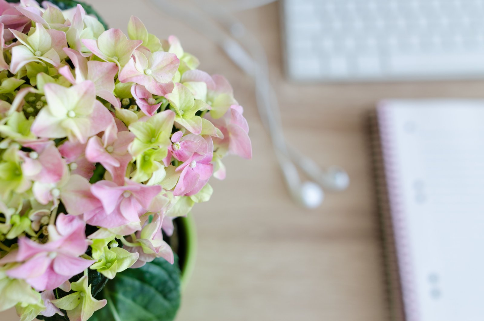 Task planning and calendar workspace for evaluating productivity software